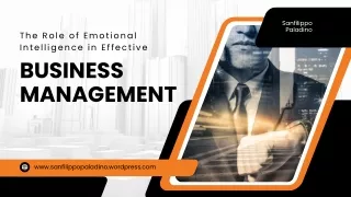 Sanfilippo Paladino – The Role of Emotional Intelligence in Effective Business Management