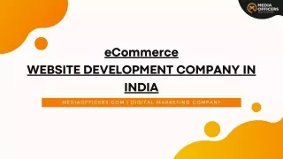 Expert Ecommerce Website Development Services