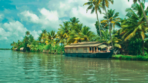 Tourist Places in Kerala that You Must Visit
