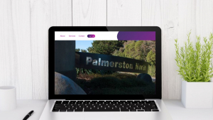 Website Design Palmerston North